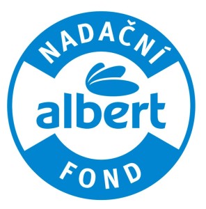 Logo_NFA